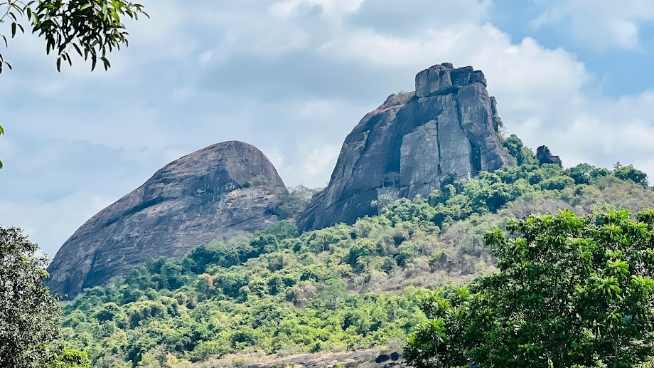 Konaje Kallu